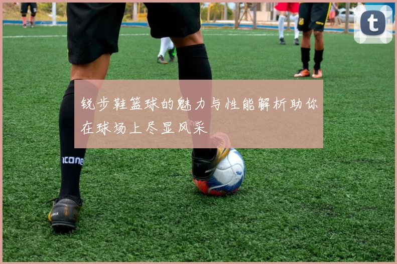 锐步鞋篮球的魅力与性能解析助你在球场上尽显风采